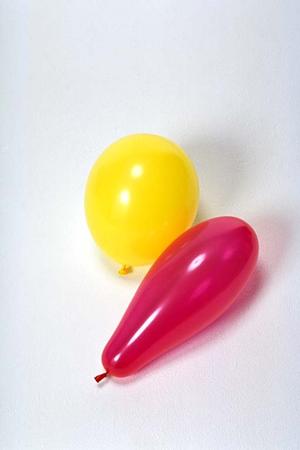 ガチャガチャの森：多彩なアイテムと楽しい体験を提供するお店